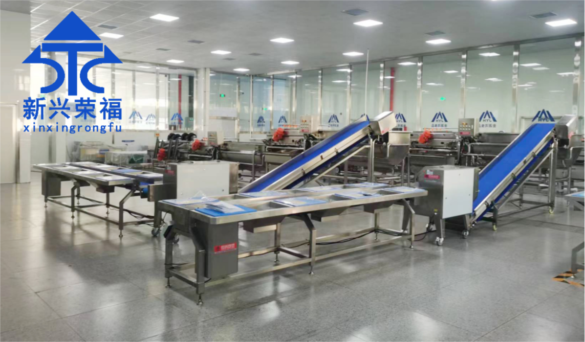 日供蔬菜20噸，新興榮福承建凈菜加工項目完成驗收